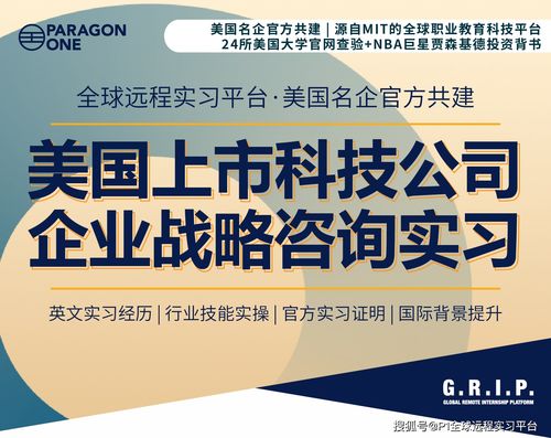 美國上市科技公司的企業(yè)戰(zhàn)略與技術(shù)開發(fā) 遠(yuǎn)程實(shí)習(xí)的機(jī)遇與挑戰(zhàn)